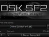 <b>DSK SF2</b>